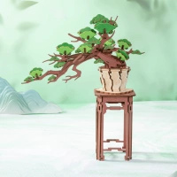 Dřevěná sada Puzzle 3D - Bonsai | Rolife