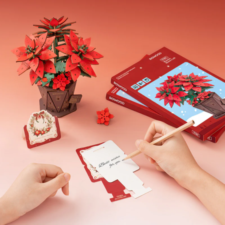 Dřevěná sada Puzzle 3D - Betlémská hvězda | Rolife