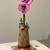 Puzzle 3D – Purple Moth Orchid | Rowood