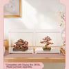 Sakura Pavilion – 3D puzzle Rolife, japonský zenový pavilon