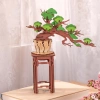 Dřevěná sada Puzzle 3D - Bonsai | Rolife
