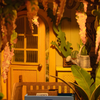 DIY Book Nook - Winter Garden | Rolife