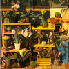 DIY Miniaturní domeček - Cathy's Flower House| Rolife