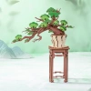 Dřevěná sada Puzzle 3D - Bonsai | Rolife