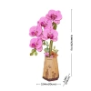 Puzzle 3D – Purple Moth Orchid | Rowood