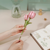 Pink Tulip – 3D puzzle Robotime, dřevěná kytice s hrací skříňkou
