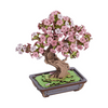 Sakura Bonsai – 3D puzzle Robotime, dřevěná dekorace s motivem japonské třešně