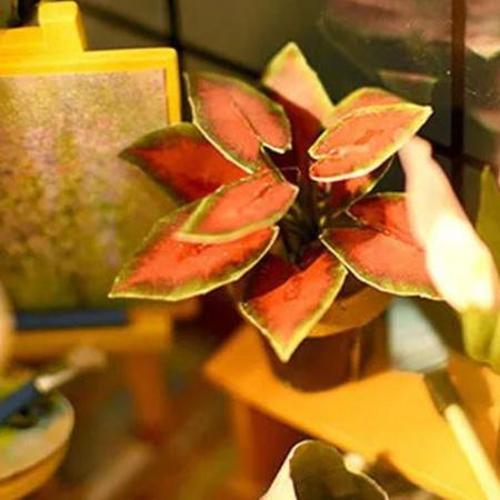 DIY Miniaturní domeček - Cathy's Flower House| Rolife