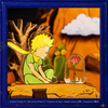 The Little Prince and the Rose – DIY Book Nook Cutebee | 3D puzzle Dárek