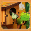 The Little Prince and the Fox – DIY Book Nook CuteBee | 3D puzzle Dárek