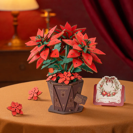 Dřevěná sada Puzzle 3D - Betlémská hvězda | Rolife