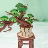 Dřevěná sada Puzzle 3D - Bonsai | Rolife
